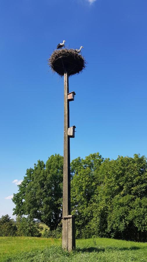 Гостевой дом Sloneczna Dolina Nad Biebrza Гонёдз Экстерьер фото